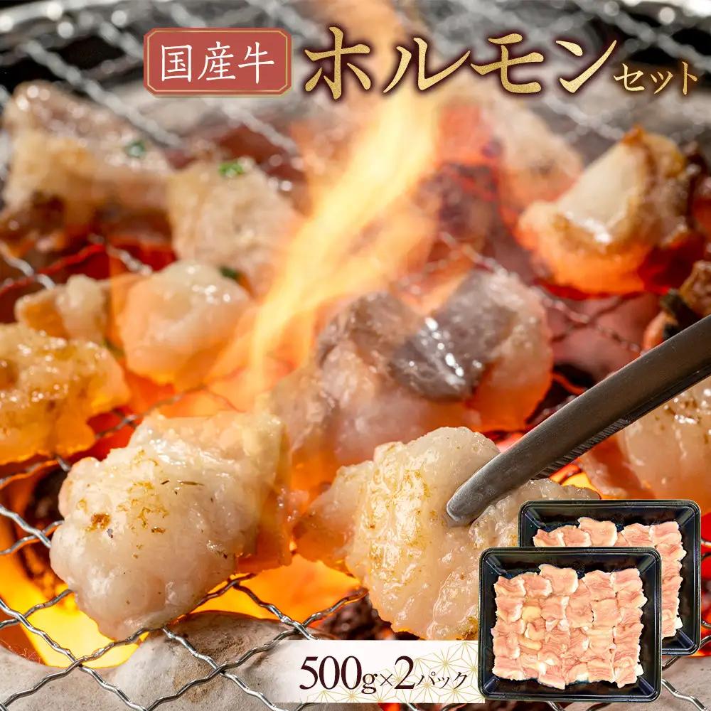 国産牛　ホルモンセット　1000g | ホルモン