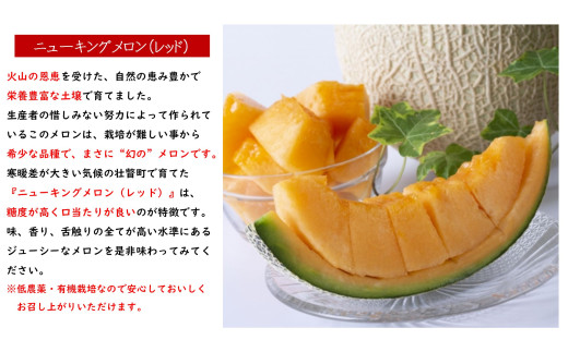 ＜2026年7月下旬よりお届け＞北海道壮瞥産 赤肉メロン（ニューキングメロン）2玉 約3kg SBTN003