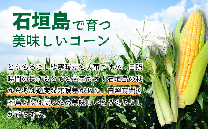 【先行予約2026年1月-5月配送】1番遅くて1番早い_ プレミアムヤングコーンとスイートコーンのよくばり定期便！！朝採れを皮付きのままお届け！！