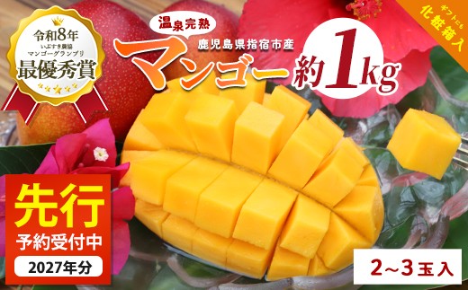 【2027年発送】鹿児島県いぶすき産 温泉完熟マンゴー約1kg(T&P/IB057-003) マンゴー フルーツ 果物 旬 夏 指宿 いぶすき 鹿児島  完熟  お供え 御供 ギフト 贈り物 プレゼント グルメ 南国 南国フルーツ 果実 マンゴー 太陽 国産 鹿児島県産 果汁