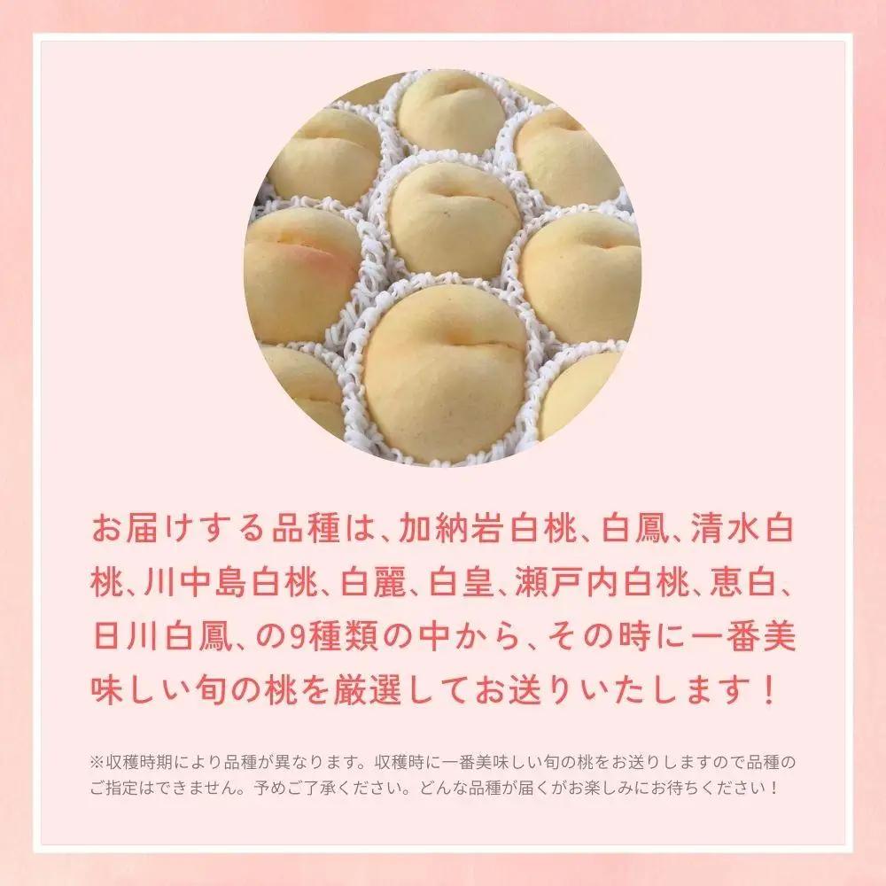 ＜数量限定＞［なんばふぁーむ］岡山県産 旬の桃 2.0kg（5～9玉）［ご家庭用］【2026年発送】