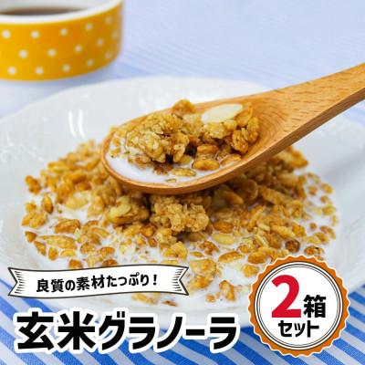 ふるさと納税 袖ケ浦市 三育フーズの玄米グラノーラ 2箱セット