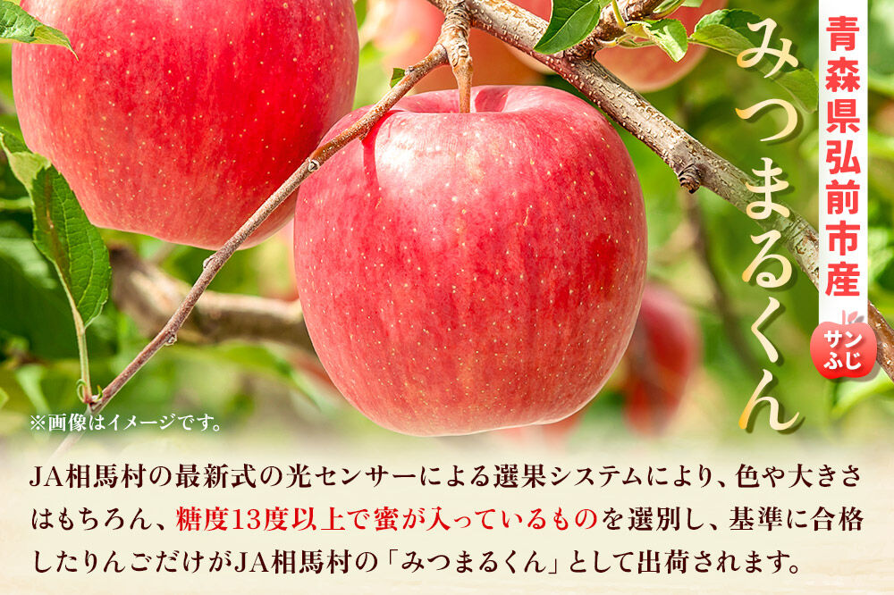 【26年11月～発送】りんご 蜜入り サンふじ（みつまるくん）＆シナノゴールド セット 約 5kg [アップル おいしい シナノ シナノゴールド セット セット品 ふじ りんご 黄色 果実 果物 赤色 美味 林檎]