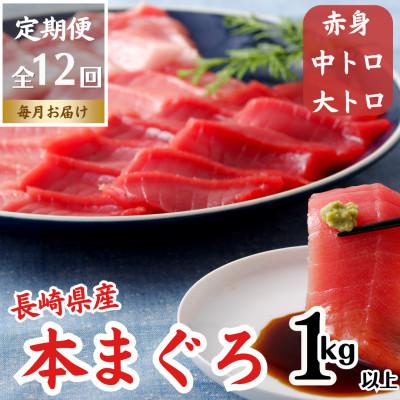 ふるさと納税 佐世保市 【毎月定期便】長崎県産本マグロ「赤身・中トロ・大トロ」贈答用セット(計1,000g以上)全12回