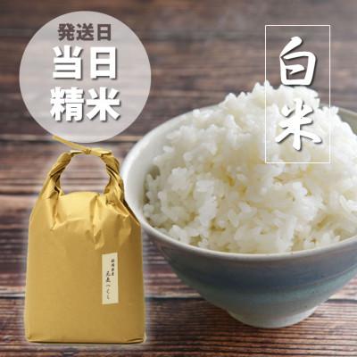 ふるさと納税 吉富町 令和7年産 福岡県産「元気つくし」5kg×1袋 [5kg] [白米](吉富町)