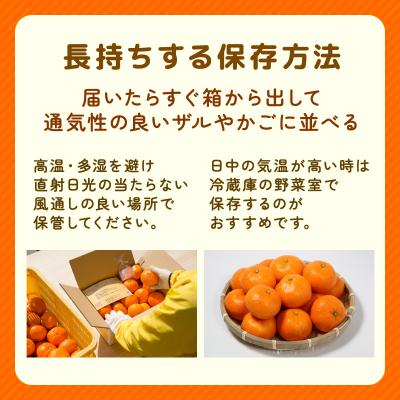 ふるさと納税 愛南町 【先行予約】訳あり 愛媛みかん 3kg 発送時期 2026年11月以降 清家ばんかんビレッジ |  | 01