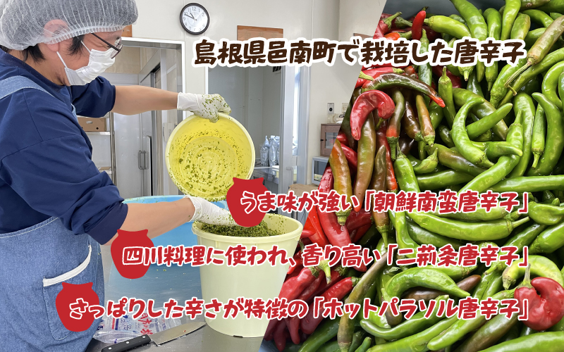 【朝鮮南蛮唐辛子使用】柚子胡椒 40ｇ×2個（青- 1個・赤 -1個）・一味唐辛子 16ｇ✕2個「はすみSTOCK（すとっく）」