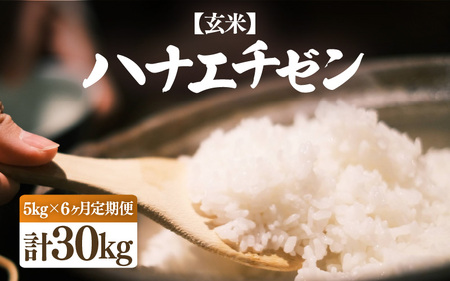 【先行予約】【令和7年産・新米】定期便 ≪6ヶ月連続お届け≫ ハナエチゼン 5kg × 6回（合計30kg）【玄米】【10月中旬前後より順次発送予定】【お米 こめ はなえちぜん 華越前 人気品種 ブランド米 5キロ 白米 精米 玄米 おにぎり うまい 福井県ブランド米 福井県産】 [e26-g001_02]