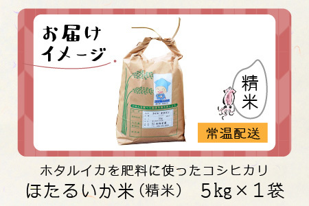 【先行予約】【新米】ほたるいか米（新米/精米５kg）※10月以降順次発送