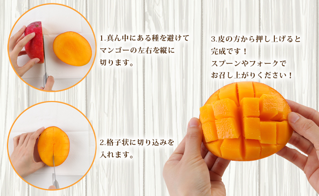 【2024年7月上旬以降配送開始】【贈答用】島マンゴー園の完熟マンゴー Ａ品 2kg マンゴー フルーツ