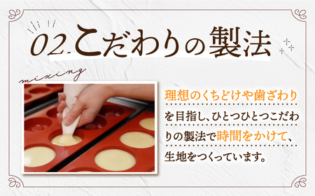 【6回定期便】焼菓子詰め合わせセット（L）22個入 長与町/CAKE SHOP FAVORI[EBV019]