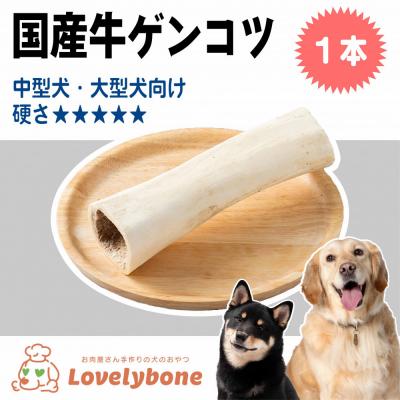 ふるさと納税 名古屋市 精肉店がこだわった 犬のおやつ【デンタル玩具としておすすめです!】国産牛ゲンコツ 1本