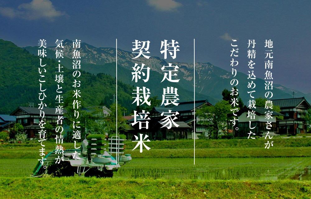 【頒布会】契約栽培　雪蔵貯蔵米　南魚沼産こしひかり（8kg×全12回）