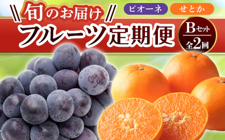【フルーツ定期便 2回】 《ピオーネからスタート》 Bセット ピオーネ 約1.2kg せとか 約5kg ぶどう みかん 柑橘 旬 果物 国産 香川県 フルーツ定期便 F5J-780