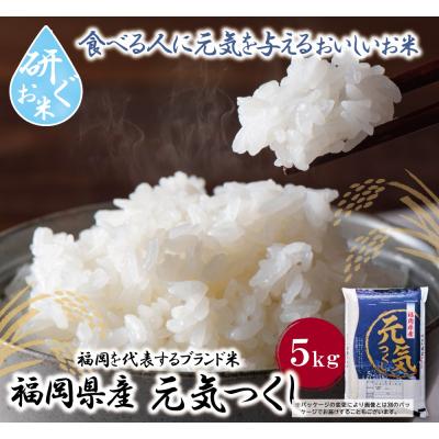 ふるさと納税 福智町 研ぐお米 元気つくし5kg