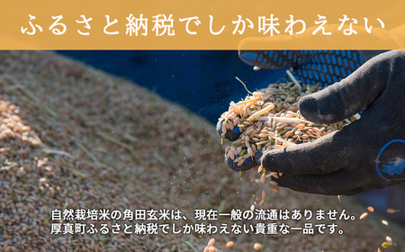 【1111】＜令和6年産新米＞北海道厚真町産　農薬不使用・自然栽培の角田玄米　5kg（ななつぼし)定期便3ヵ月コース