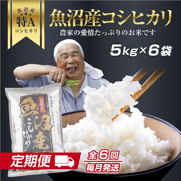 【ふるさと納税】DH12 【定期便】 新潟県 魚沼産 コシヒカリ お米 30kg×計6回 精米済み 半年 毎月発送 こしひかり（お米の美味しい炊き方ガイド付き）
