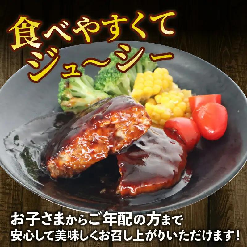 【ハンバーグ】 デミグラスソースハンバーグ 5個 5-142 ハンバーグ