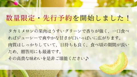 【 先行予約 6月中旬以降発送 】 令和6年産 タカミ メロン 1箱 秀品 3～4玉入り 期間限定 産地直送 果物 フルーツ メロン 青肉 甘い [AV008ya]
