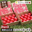 【ふるさと納税】【2025年予約受付】 飛騨高山産 トマト 『麗月』4kg（2kg×2箱） | とまと 産地直送 野菜 飛騨高山 まるかじり農園 FW003