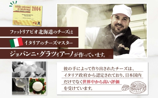 モッツァレラ 100g×2｜チーズ モッツァレラチーズ 北海道 札幌市