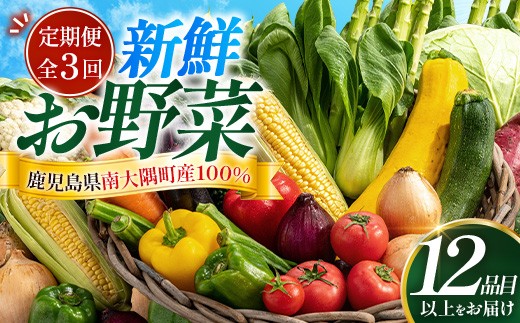
                  【定期便全3回】よくばり新鮮お野菜セット 12品目以上  NI-7 ｜ 旬 野菜 やさい  果物 くだもの  産地直送  農産物 冷蔵 鹿児島県 南大隅町産  詰合せ  おまかせ 家庭用 なんたん市場
                