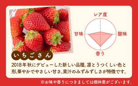先行予約 2027年2月〜発送 【3回定期便】3種の食べ比べ定期便(2)  【StrawberryFarm-K】[IBJ031]