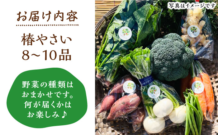 何が届くかはお楽しみ 椿やさいの野菜セット(8-10品)詰合せ 五島市/いきいきファーム [PCY001]