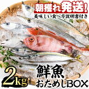 【ふるさと納税】朝獲れ発送！鮮魚問屋が厳選した『鮮魚おためしBOX』(約2kg程度)魚 魚介類 鮮魚 海鮮 詰め合わせ セット 刺身 天ぷら 煮つけ 塩焼き【江川商店】【0153201a】