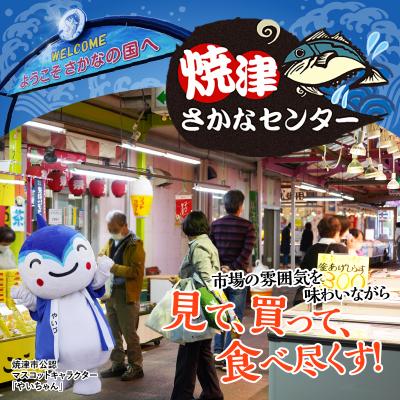 ふるさと納税 焼津市 駿河湾干し桜えび 25g×4袋(a10-983) |  | 03