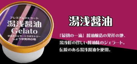 プレミアムジェラート 湯浅醤油12個セット アイスクリームセット 100mlカップ ゆあさジェラートラボラトリー 【kstb700-05】