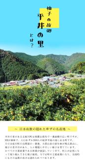 古座川町の 柚子シャーベット 8個入 ゆず 柚子 柚 ユズ フルーツ スイーツ アイスクリーム ジェラート【yuz116】