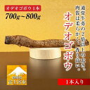 【ふるさと納税】オデオゴボウ　1本（700〜800g）　ゴボウ 野菜 ふるさと納税 ふるさと 送料無料 静岡県 富士宮市