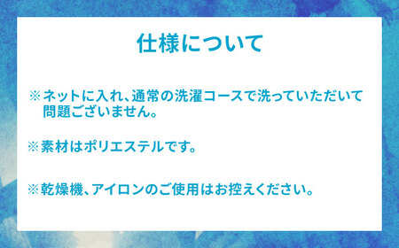 【ナンバー・ネームあり】SAGA BALLOONERS 公式レプリカユニフォーム（ホーム） / バスケットボール プロ スポーツ 公式グッズ / 佐賀県 / 佐賀バルーナーズ[41AAAI008]