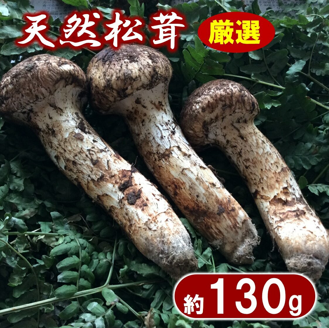 【ふるさと納税】 松茸 【厳選】 岩手県産 天然松茸 約130g 【数量限定】