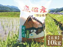 【ふるさと納税】 令和6年産 新潟県特別栽培米認定！ 味とツヤにこだわった「秀田米」 玄米10kg 【湯沢産コシヒカリ】