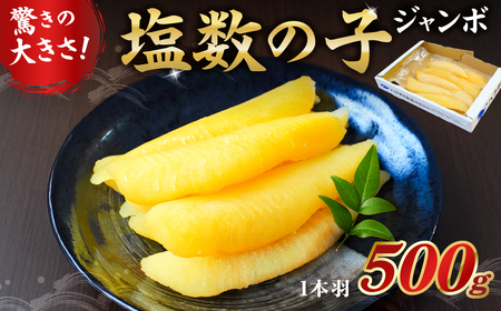  国産　塩数の子ジャンボ(北海道産） 1本羽 500g mi0012-0069 海鮮 魚卵 魚介 おせち 正月 ﾆｼﾝ ｶｽﾞﾉｺ