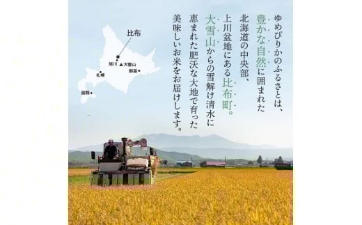 【2025年産先行受付】比布町久保農園産　ゆめぴりか精米10kg　【2026.1月～2月上旬発送】