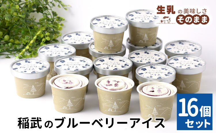 無農薬・除草剤不使用！30品種をブレンドした ブルーベリー アイス(80ml)×16個入り