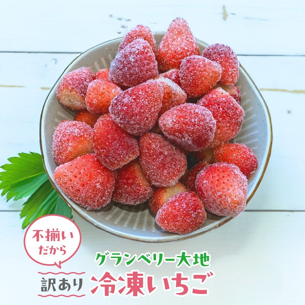 【ふるさと納税】【訳あり】冷凍いちご 1kg～3kg いちごイチゴ 苺 冷凍 シェイク スムージー 冷たい グランベリー大地 茨城県 常総市