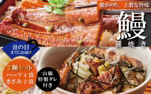 
            【土用の丑の日までにお届け】＜四万十食品＞うなぎ蒲焼　ハーフ4袋 　ざみ2袋／Ｃ 鰻 ウナギ うなぎ お取り寄せ グルメ きざみ お楽しみ おいしい ギフト 食べ物 食品 おかず 国産鰻 蒲焼 うなぎ蒲焼 ウナギ蒲焼 鰻蒲焼 冷凍 送料無料 国産 高知 高知県 四万十 四万十市 25-360U
          