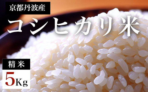 【先行予約】令和7年度産新米　京都丹波産　コシヒカリ米（精米）5kg  【ふるさと納税 米 新米 精米 コシヒカリ 特別栽培米 5kg 京都府 福知山市】 FCDF001