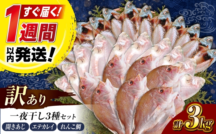 
                  塩分控えめ！【訳あり】一夜干し3種セット（アジ・カレイ・レンコ鯛）3kg　島根県松江市/有限会社久卜商店　　｜ 干物 セット アジ カレイ タイ 魚介 訳あり [ALAO003]
                