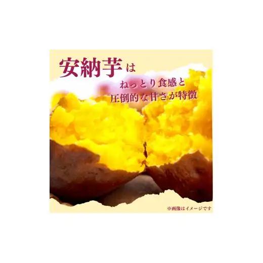 『えがお畑』で採れた安納芋 10kg