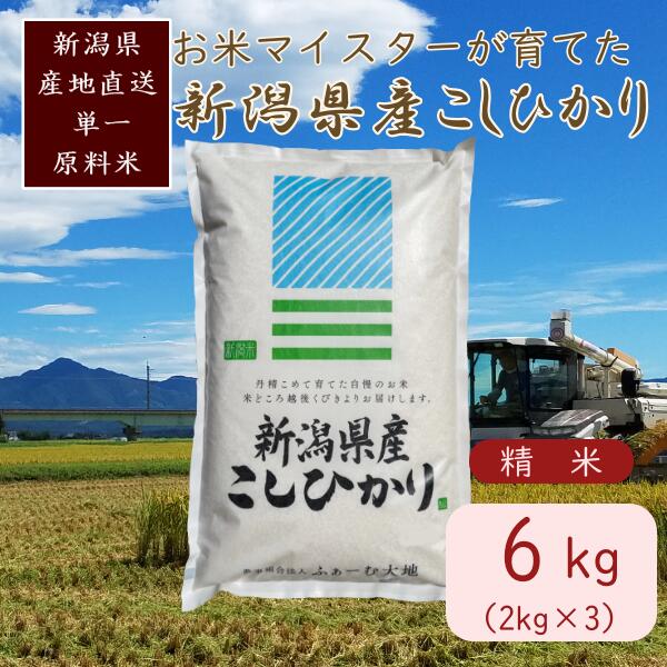 【ふるさと納税】令和7年産 お米マイスターが育てた上越産コシヒカリ6kg(2kg×3) 白米　精米　お届け：ご入金確認後、2～3週間を目途に順次発送いたします。