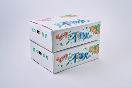 不知火 果実の宝箱 小玉デコ柑 約5kg 24玉〜30玉 2027年3月上旬から6月中旬順次発送予定 田辺農園