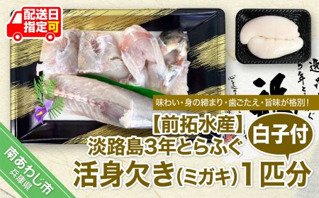 淡路島3年とらふぐ　活身欠き【ミガキ・１匹分】白子付◆配送10月25日～3月31日