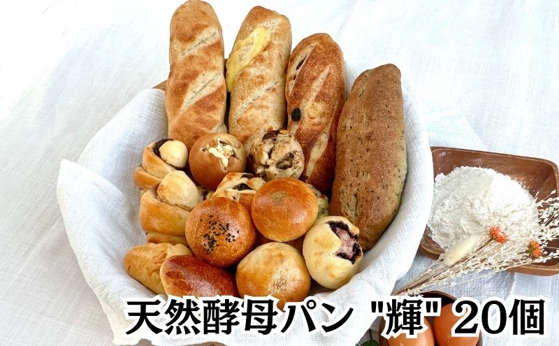 パン 食パン 【6ヵ月定期便】 天然酵母パン "匠" 8本 ”輝”20個 ”優”12個 亀吉パン遊房 生食パン 国産小麦 天然酵母 レーズン 黒糖 詰め合わせ セット 神奈川 藤沢