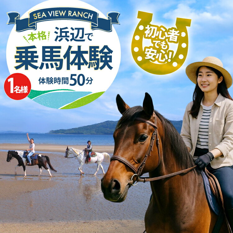 【ふるさと納税】体験 乗馬 平戸の浜辺で本格乗馬体験 50分 [(株)シービューランチ 長崎県 平戸市 hr42bgy390076] 馬 体験型 旅行 旅 観光 平戸 初心者 安心 ふれあい 癒し 思い出
