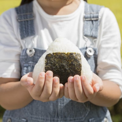 【令和7年産】宮城県　色麻町　ひとめぼれ　精米　10kg(5kg×2)【配送不可地域：離島・沖縄県】【1692946】